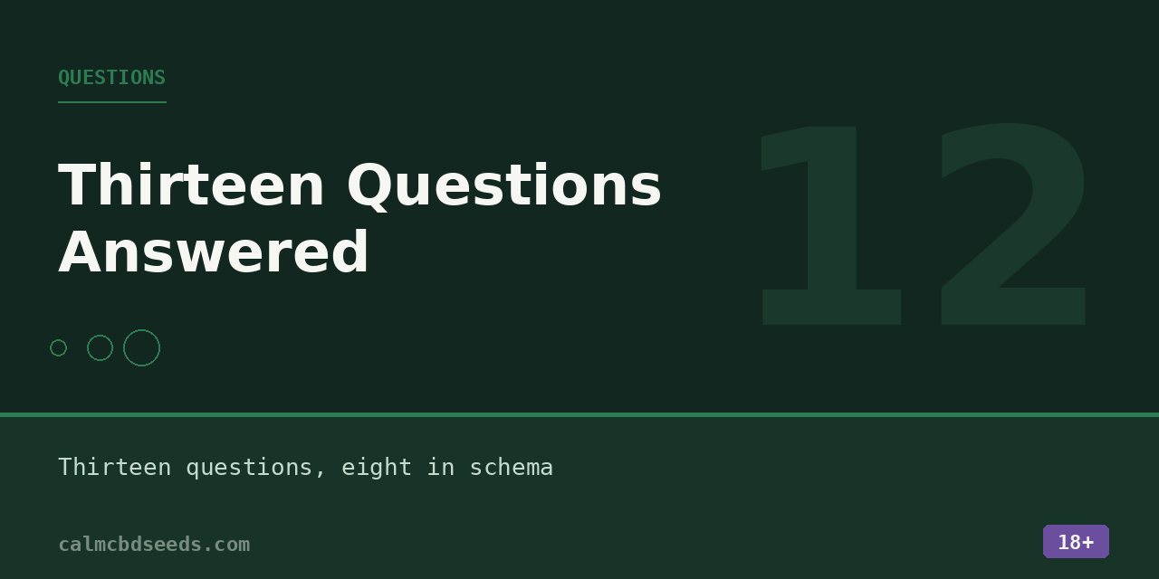 Section card headed Questions, noting thirteen answers of which eight carry structured data