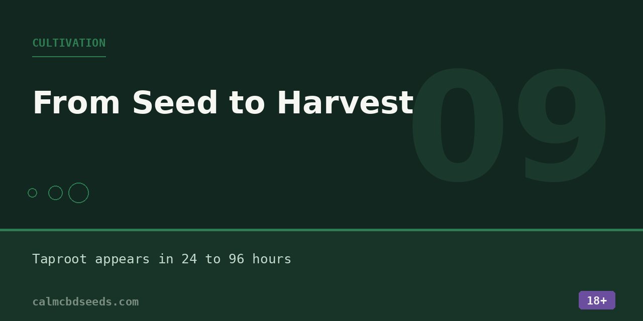 Section card headed Cultivation, noting that a taproot appears within twenty-four to ninety-six hours